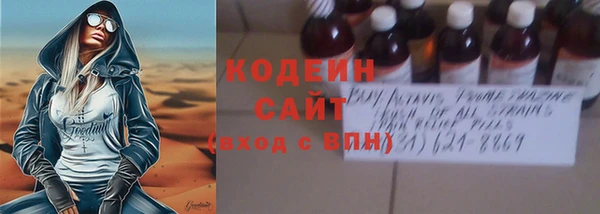ECSTASY Алзамай