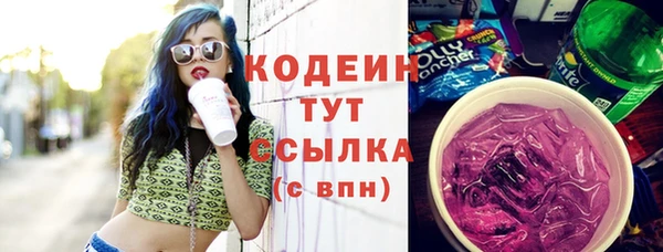 ECSTASY Алзамай
