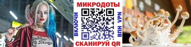 hydra tor  купить наркоту  Новомичуринск  Галлюциногенные грибы ЛСД 
